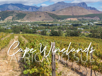 Cape Winelands - ÁFS
